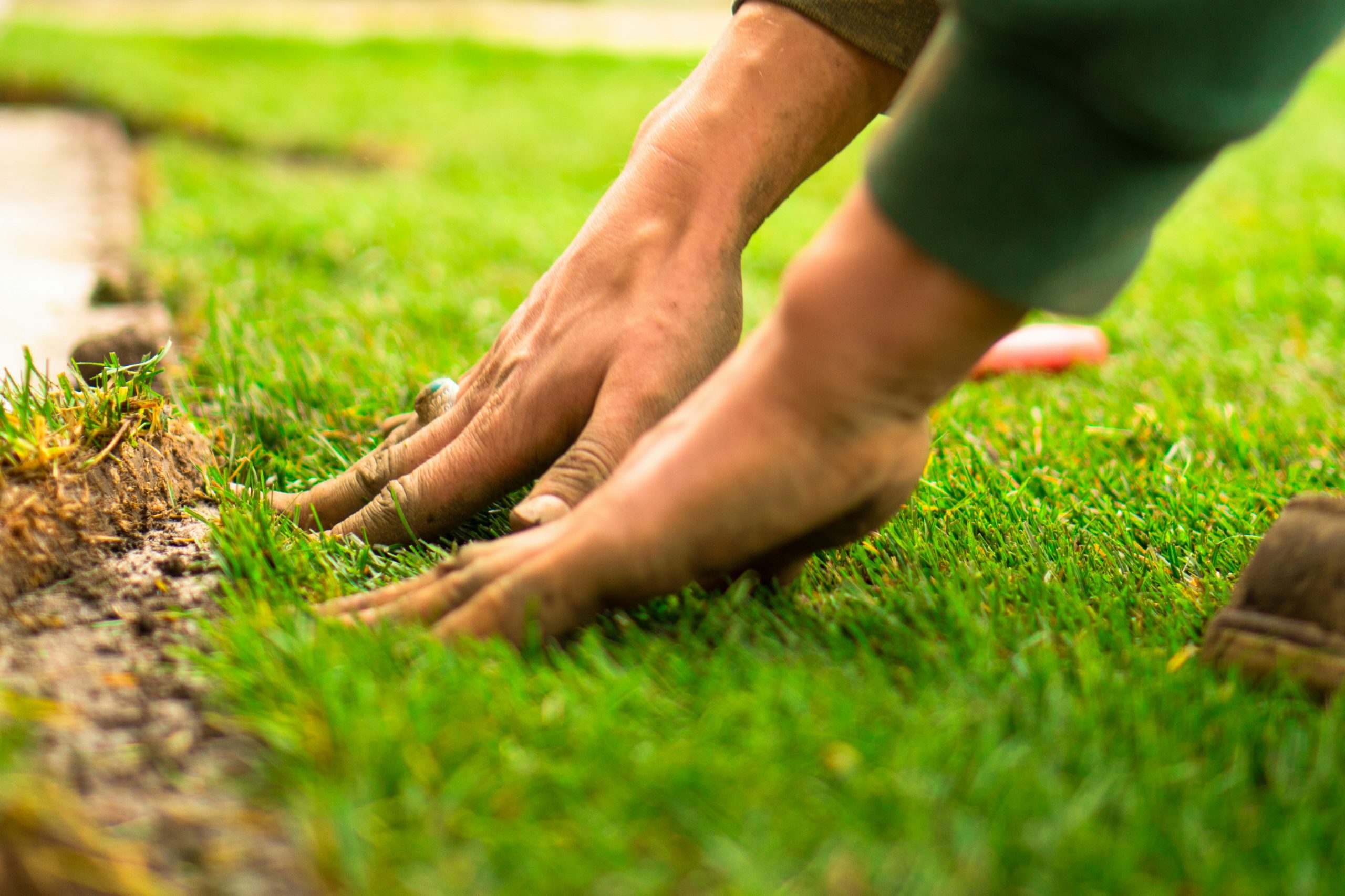 summit county contractor green grass feeling lanscape